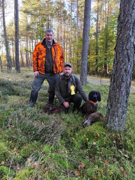 posokowiec-osiagniecia